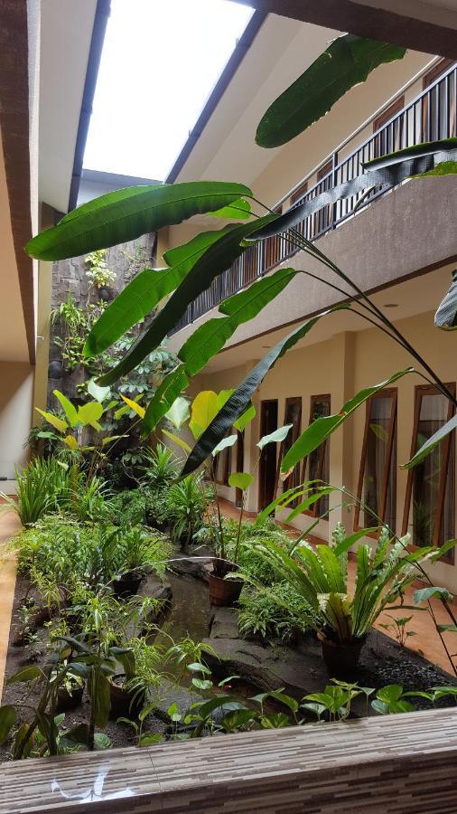 Aloha Hotel 2*